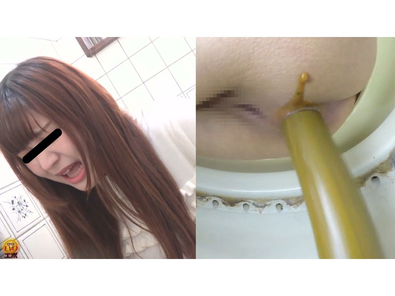 第2四半期 うんこ総合カタログ 2