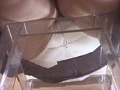 イスになりたい Vol.2