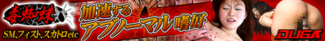 本物！！超人気セメントトイレベスト2