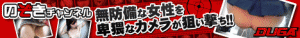全国盗撮大図鑑 水中＆ビーチ全集